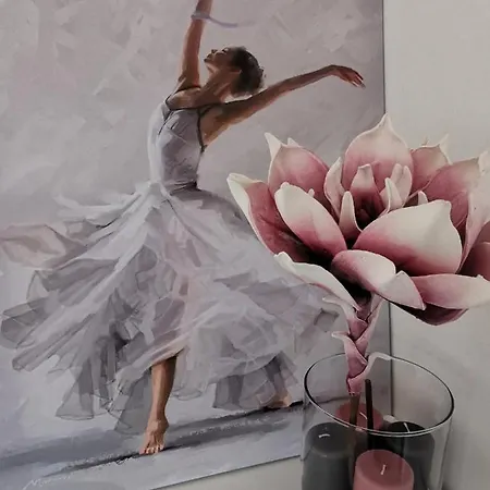 Brand New 公寓 索菲亞